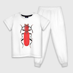 Детская пижама хлопок Cucujus haematodes