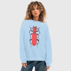 Женский свитшот oversize без начеса хлопок Cucujus haematodes - фото 2