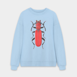 Мужской свитшот oversize без начеса хлопок Cucujus haematodes