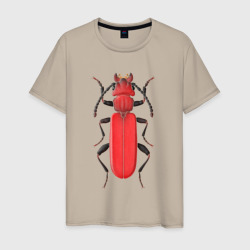 Cucujus haematodes – Мужская футболка хлопок с принтом купить со скидкой в -20%