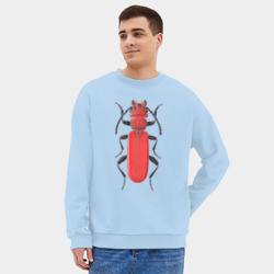 Мужской свитшот oversize без начеса хлопок Cucujus haematodes - фото 2