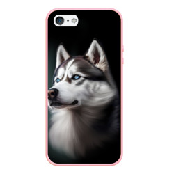 Чехол для iPhone 5/5S матовый Собака Хаски с голубыми глазами