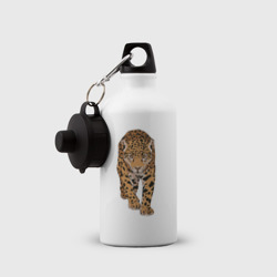 Бутылка с принтом Леопард дикая кошка для ребенка, вид на модели спереди №2. Цвет основы: белый