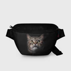 Поясная сумка 3D Крупная морда кота