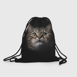 Рюкзак-мешок 3D Крупная морда кота