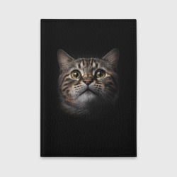 Обложка для автодокументов Крупная морда кота