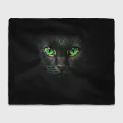 Плед 3D Морда кота с зелеными глазами