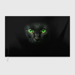 Флаг 3D Морда кота с зелеными глазами