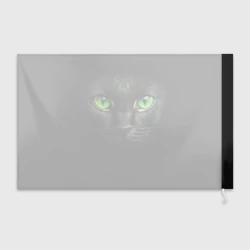Флаг 3D Морда кота с зелеными глазами - фото 2