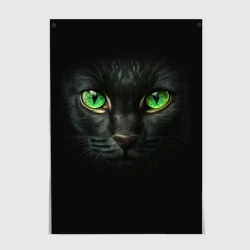 Постер Морда кота с зелеными глазами