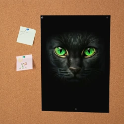 Постер Морда кота с зелеными глазами - фото 2