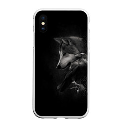 Чехол для iPhone XS Max матовый Волк и ворон