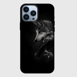 Чехол для iPhone 13 Pro Max Волк и ворон