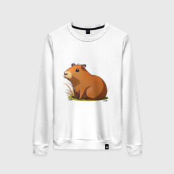 Женский свитшот хлопок Cartoon capybara