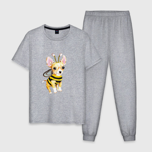 Мужская пижама хлопок Пчелка чихуахуа, цвет меланж