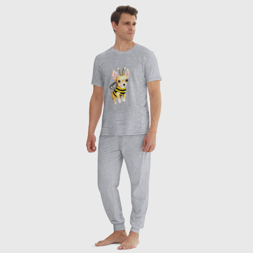 Мужская пижама хлопок Пчелка чихуахуа, цвет меланж - фото 5