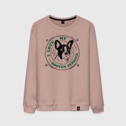 Мужской свитшот хлопок I love Boston terrier