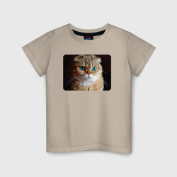 Детская футболка хлопок Кошка шотландская