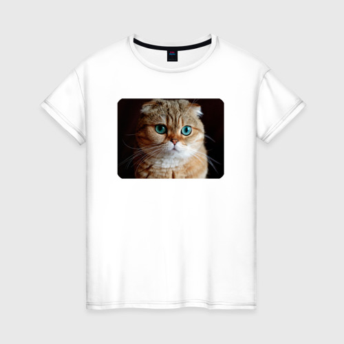 Женская футболка из хлопка с принтом Кошка шотландская, вид спереди №1