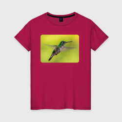Милая колибри – Футболка из хлопка с принтом купить