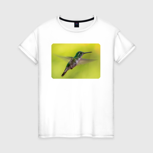 Женская футболка из хлопка с принтом Милая колибри, вид спереди №1
