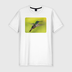 Мужская футболка хлопок Slim Милая колибри