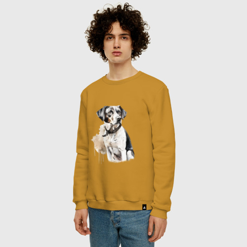 Мужской свитшот хлопок с принтом Собака акварелью, фото на моделе #1