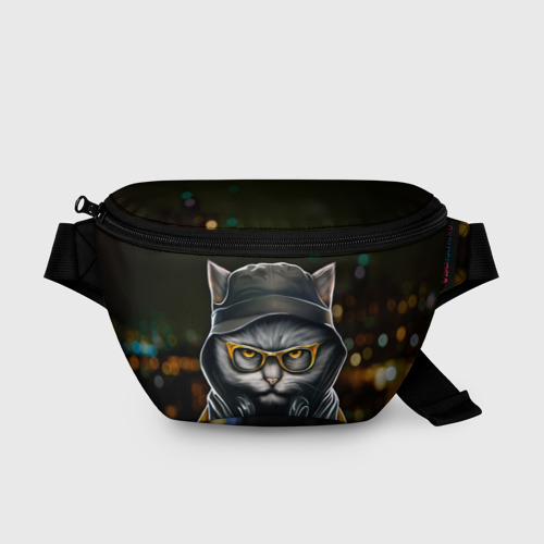 Поясная сумка 3D Rich grey Cat