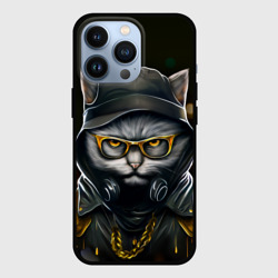 Чехол для iPhone 13 Pro Rich grey Cat