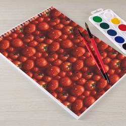 Альбом для рисования Сочная текстура из томатов - фото 2