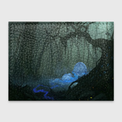 Обложка с принтом Граф Хомякула в темном лесу для любого человека, вид сзади №1. Цвет основы: черный