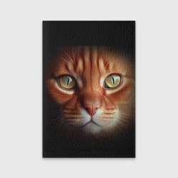 Обложка для паспорта матовая кожа Морда рыжего кота