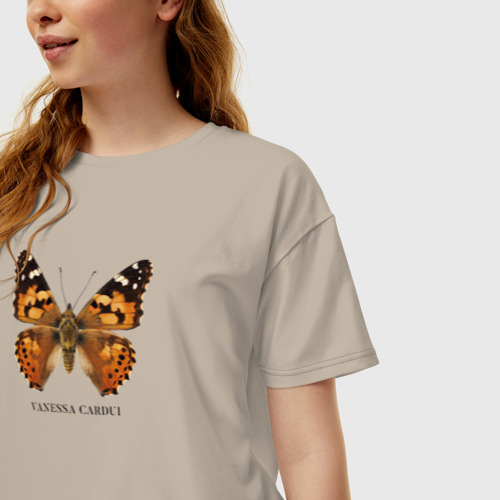 Женская футболка хлопок Oversize Бабочка Репейница с названием на латинском, цвет миндальный - фото 3