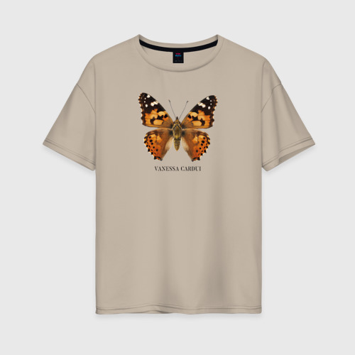 Женская футболка хлопок Oversize Бабочка Репейница с названием на латинском, цвет миндальный