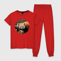 Красивая красная панда – Женская пижама хлопок с принтом купить со скидкой в -10%