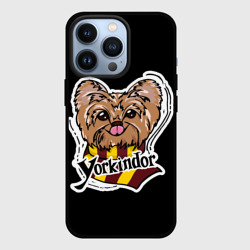 Чехол для iPhone 13 Pro Yorkindor Dogwarts black