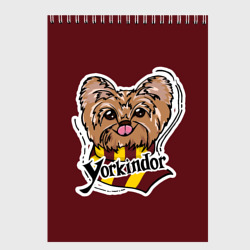 Скетчбук Yorkindor Dogwarts red