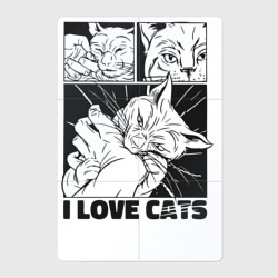 Магнитный плакат 2Х3 I love cats comic