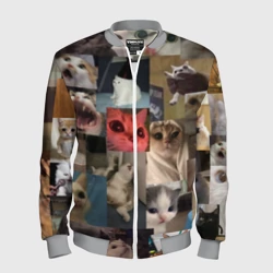 Мужской бомбер 3D Мемные котики паттерн