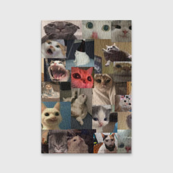 Обложка для паспорта матовая кожа Мемные котики