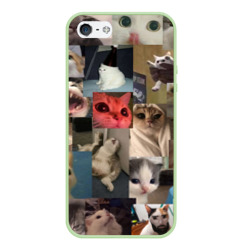 Чехол для iPhone 5/5S матовый Мемные котики
