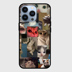 Чехол для iPhone 13 Pro Мемные котики паттерн