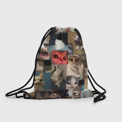 Рюкзак-мешок 3D Мемные котики
