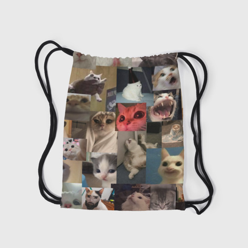 Рюкзак-мешок 3D Мемные котики - фото 7