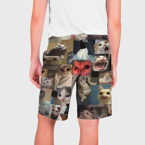 Мужские шорты 3D Мемные котики, цвет 3D печать - фото 2