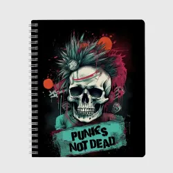 Тетрадь Punks not dead
