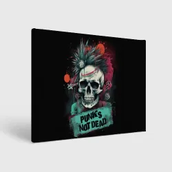 Холст прямоугольный Punks not dead