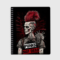 Тетрадь Punks not      dead