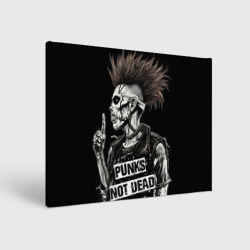 Холст прямоугольный Punks    not dead