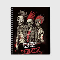 Тетрадь Punks       not      dead